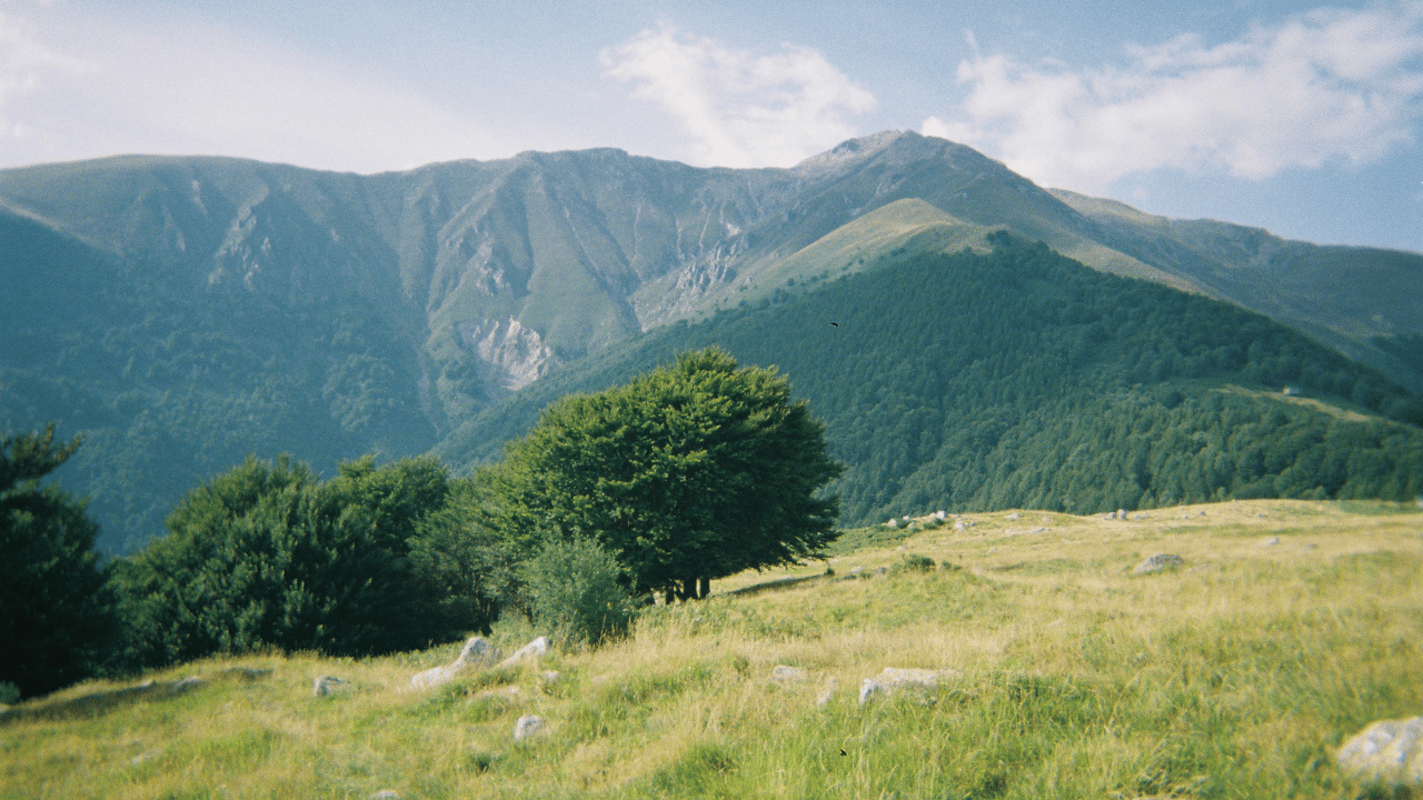 Nyanga Highlands